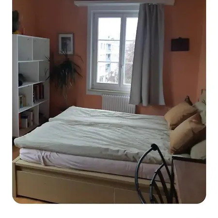 Apartment Quiet And Cosy Near Hallenstadion *