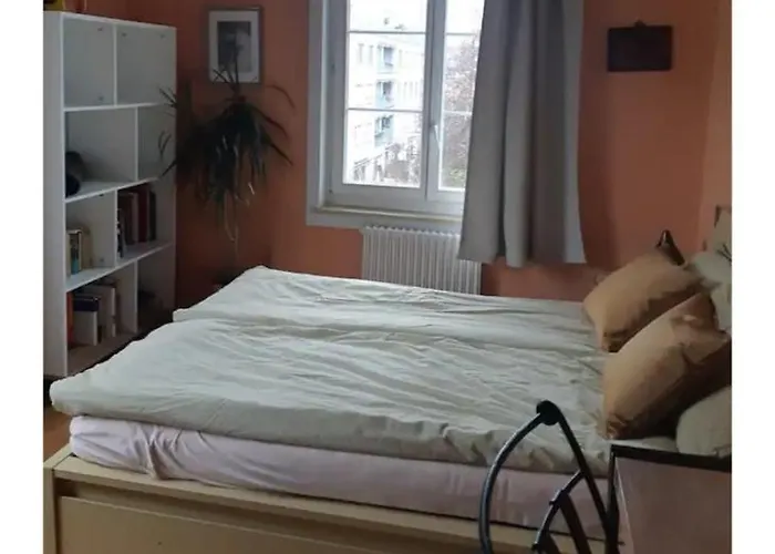 Daire Quiet And Cosy Near Hallenstadion *